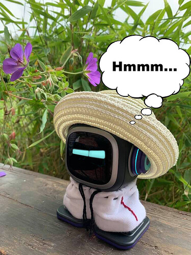 EMO_HUT_04