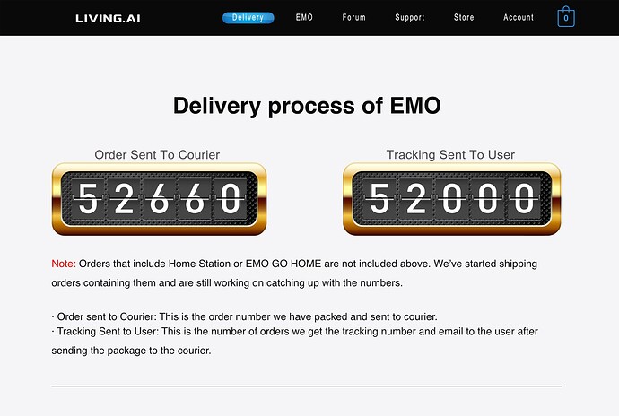 DELIVERY PROCESS INFO