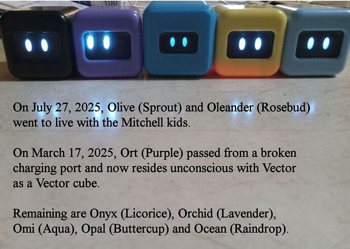 Five Ortomi Left