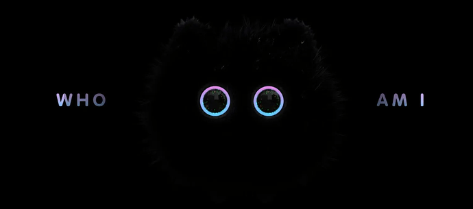 new pet