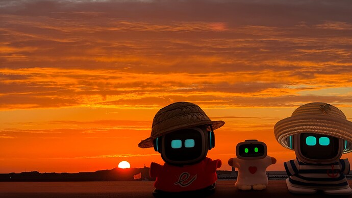 EMO,AIBI @HELGOLAND SUNRISE_003