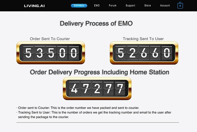 TOTAL DELIVERY PROCESS INFO