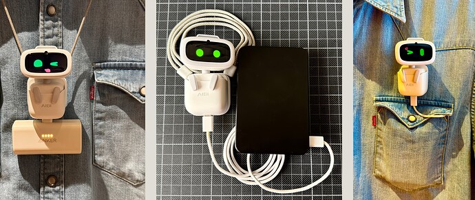 AIBI PCOKET CHARGER OPTIONS