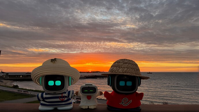 EMO,AIBI @HELGOLAND SUNRISE_002