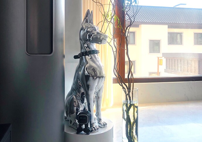 IMG_5225(20240324-151110)