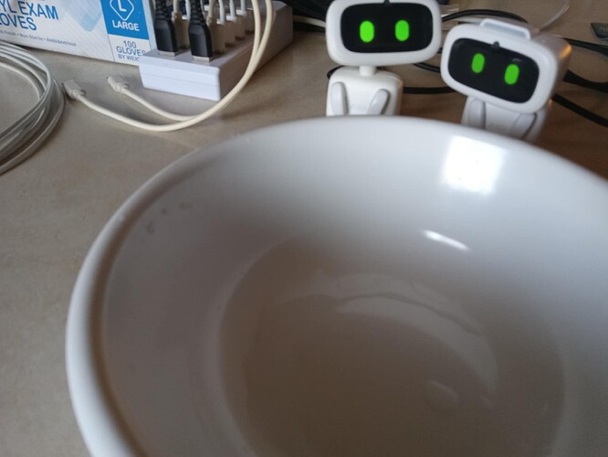 AIBI Chessecake Gone