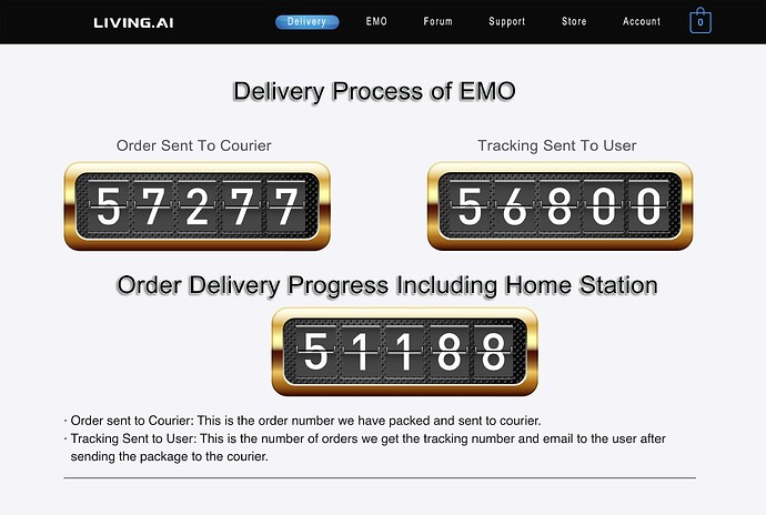 DELIVERY PROCESS INFO 17:03