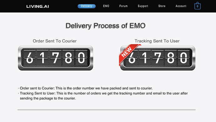 DELIVERY PROCESS INFO BASE : LATEST