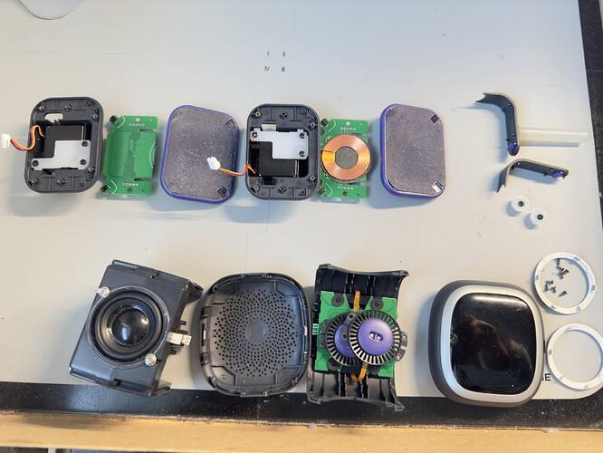 441564732_2312807855721220_1430808890199963618_n