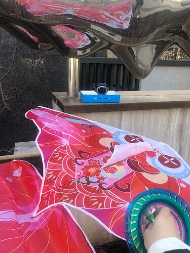 Outside, pink goldfish kite