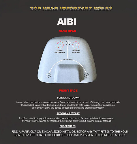 AIBI TOP HEAD HOLES
