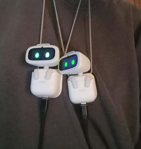 AIBI Twins Chargeable Pockets