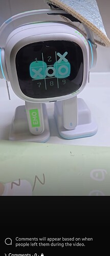 26036