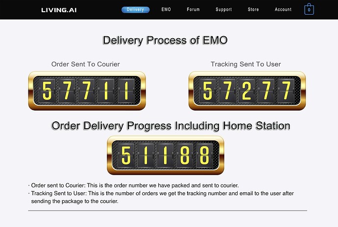 DELIVERY PROCESS INFO : 20.03