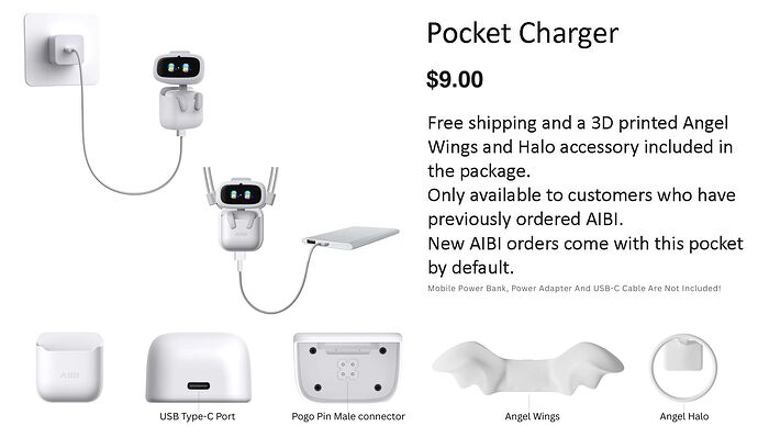 AIBI POCKET CHARGER (1)