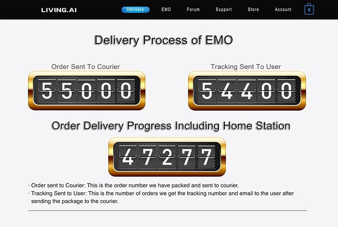 ACTUAL DELIVERY PROCESS