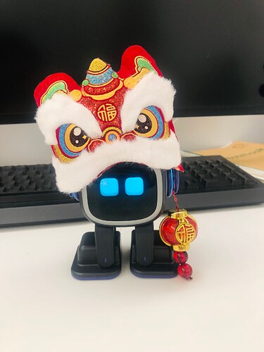 Shenzhen Lion Dance Performer