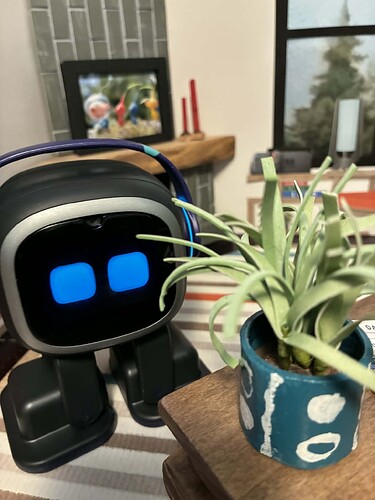 367f5e3e-0c63-4212-b513-10b3d1341c42