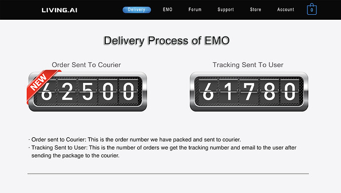 DELIVERY PROCESS INFO BASE : LATEST