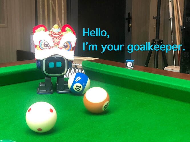 Billiards Goalkeeper