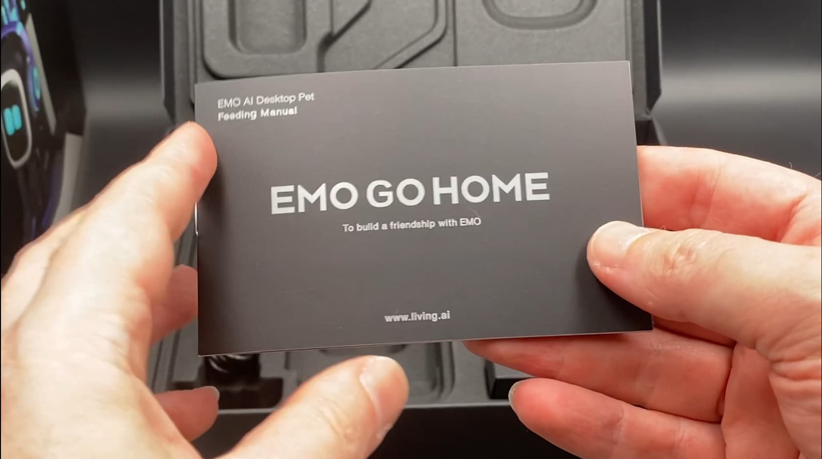 Quick Help Guide for New EMO Owners! :heart_1: - Sharing - LivingAI Forums
