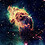 laovejanegra